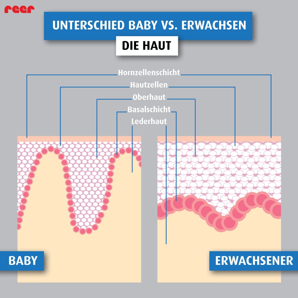Infografik über die Unterschiede der Haut von Babys und Erwachsenen