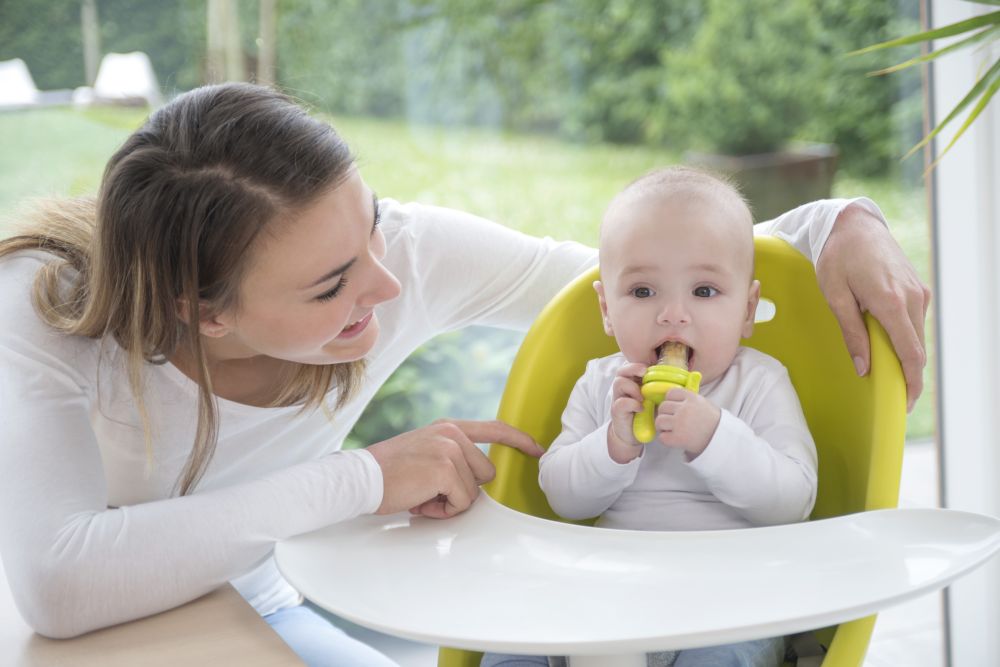 kidsme Food Feeder