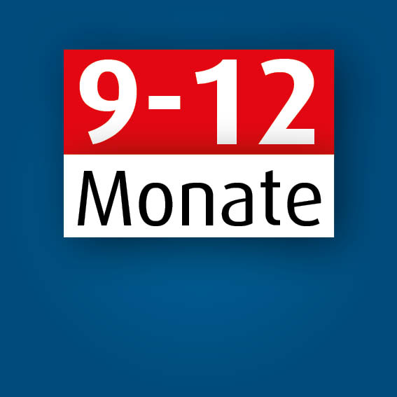 9 - 12 Monate