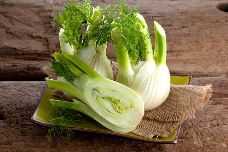 Fenchelhonig