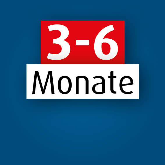 3 - 6 Monate