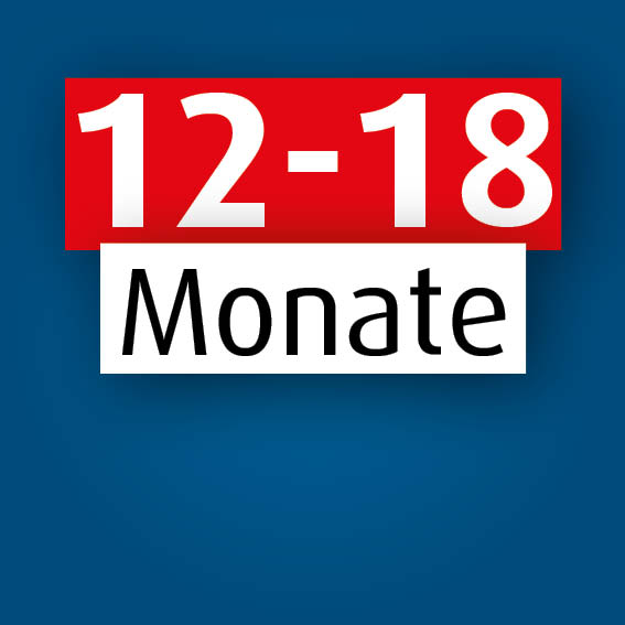 12 - 18 Monate